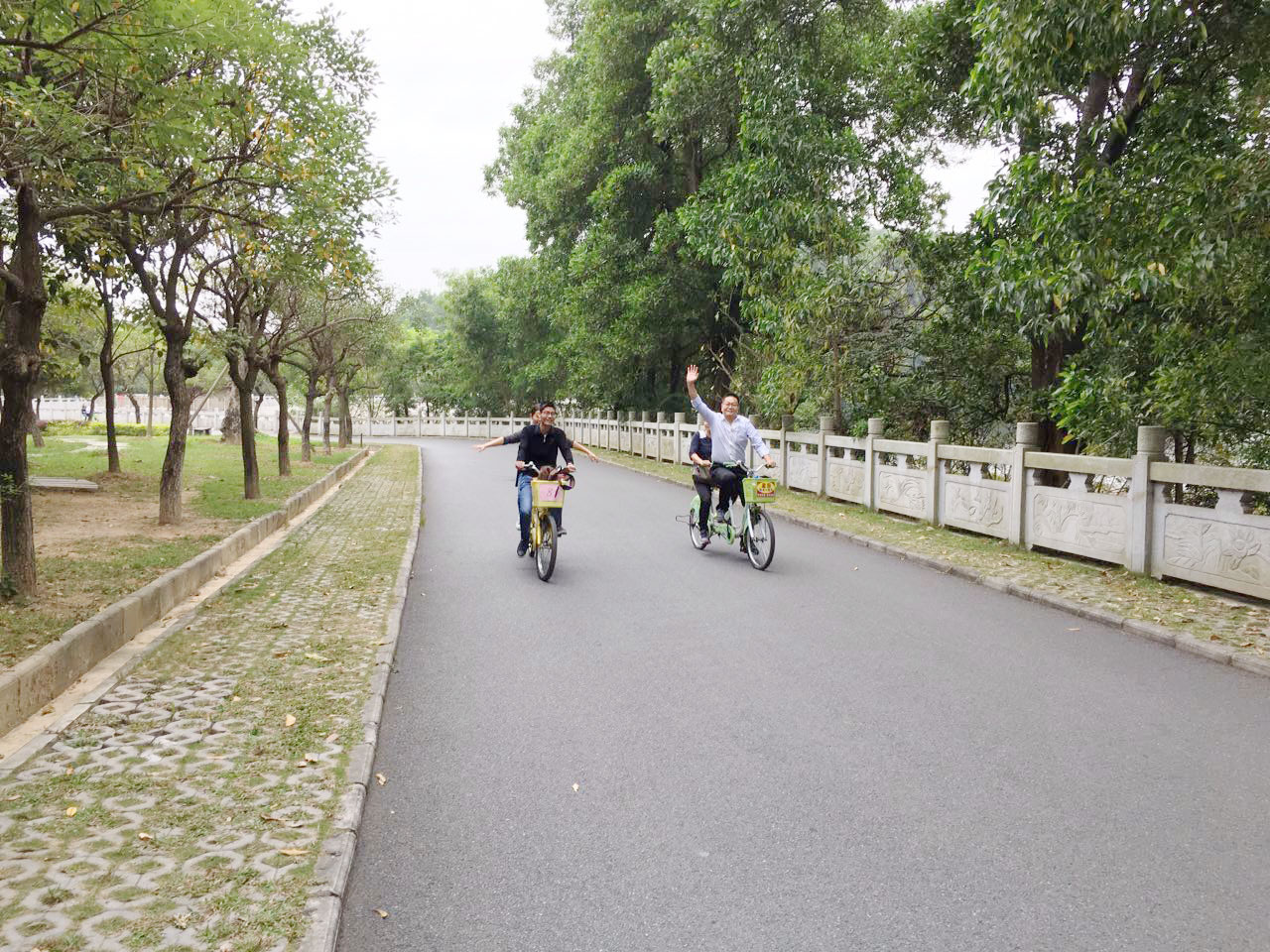 张开双手，飞翔吧！我的家人们