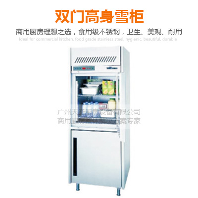 双门高身雪柜